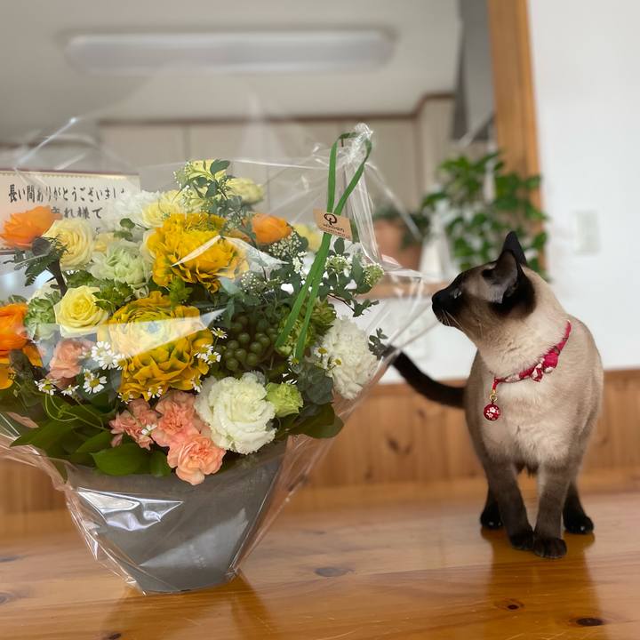 195f32ee 7bad 40d2 abd7 4620f494e257 1738475875294