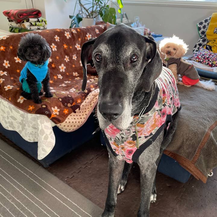 195f598f 387d 4cdd b8c5 455114489e84 1612478675955