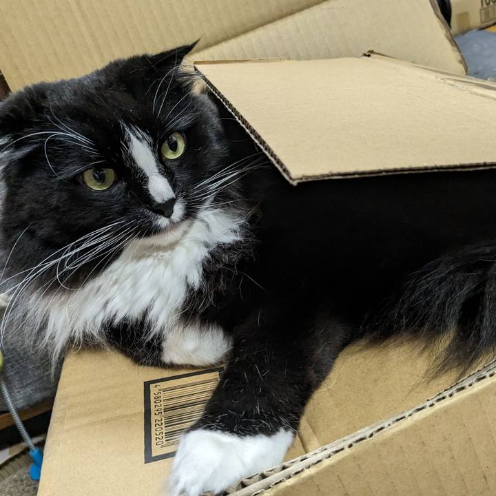 195f68f7 0621 45bc b98e 1b90a98e1e1f 1714300833455