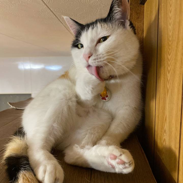 195f6f49 3755 4e08 ad42 093e177046cb 1646921571044