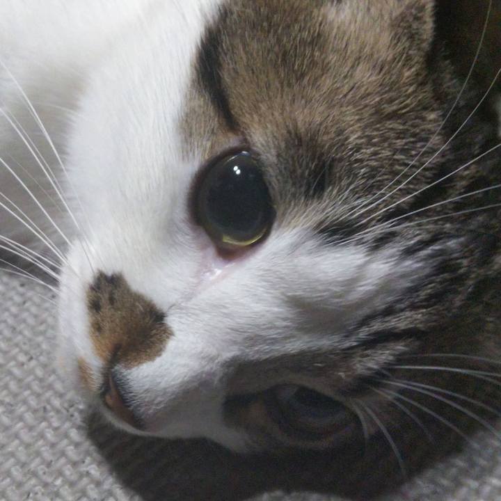 195f731c 47d4 4506 98c5 6830d8bcc723 1649856526732