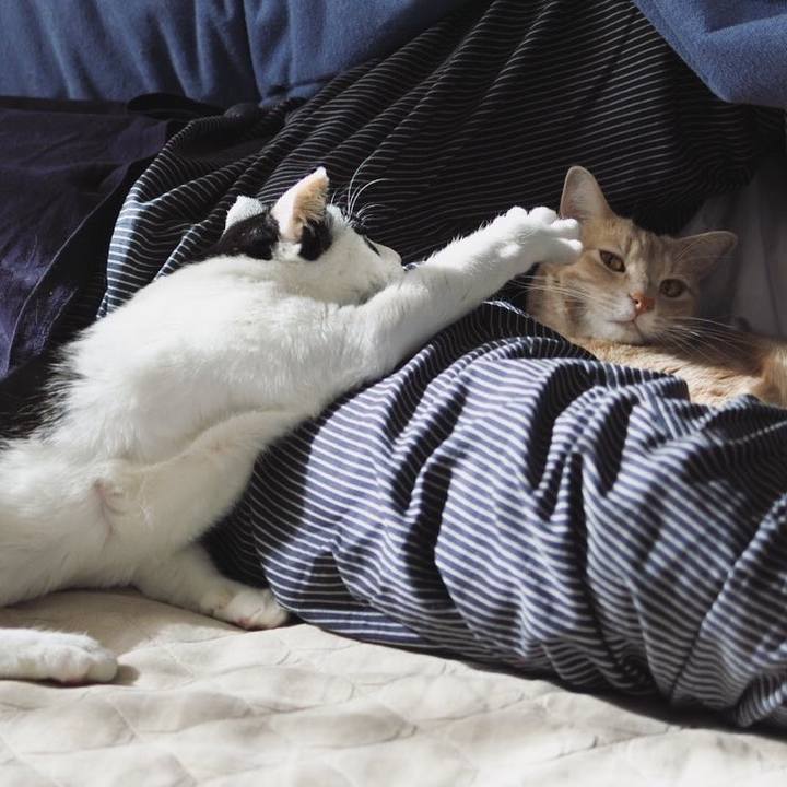 195fb9e3 c0d4 4dce 800e 2a59c078578f 1604624219489