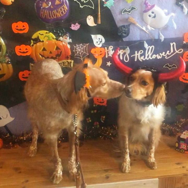 195fbfcd 5f5b 452e 8995 74849bed99bc 1761873535856