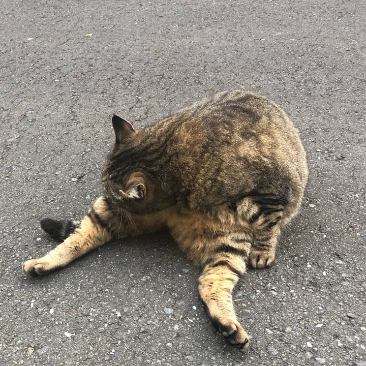 195fe0b8 ce16 42ca b600 f2abf412ed97 1522747305076