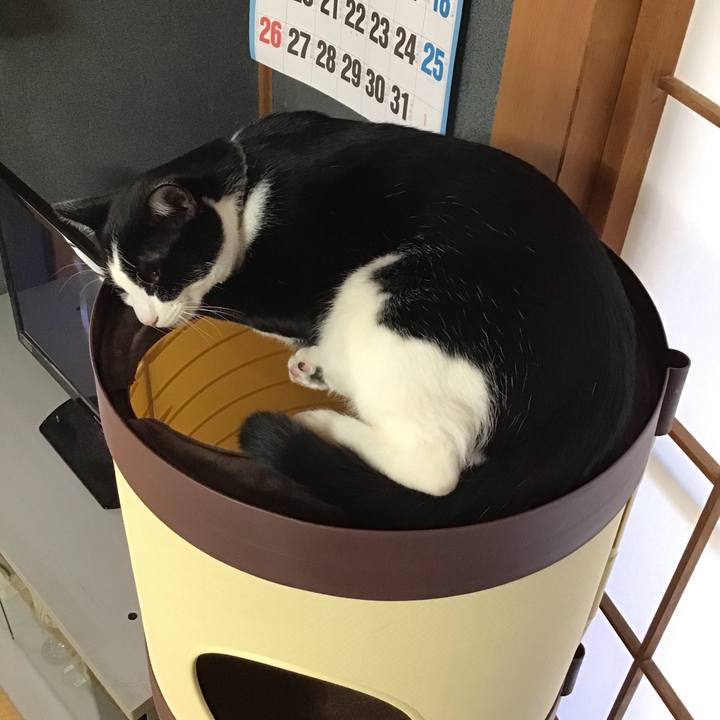 195fe259 f72a 4468 8e32 8b10f481e055 1639871928671