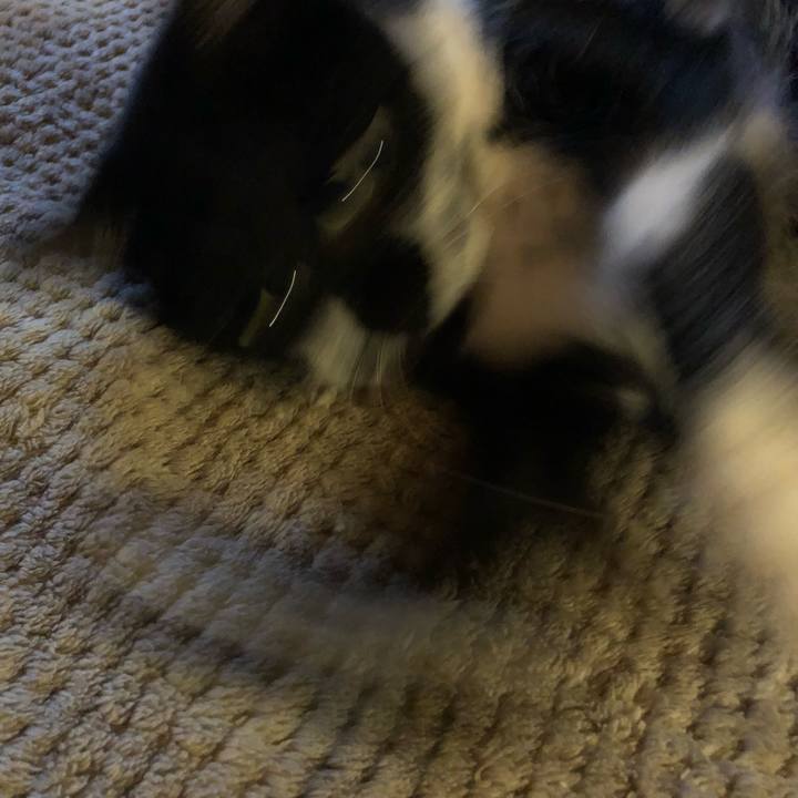 195fffbb dfbd 440e a767 8c95bbf2ccfb 1538610563996