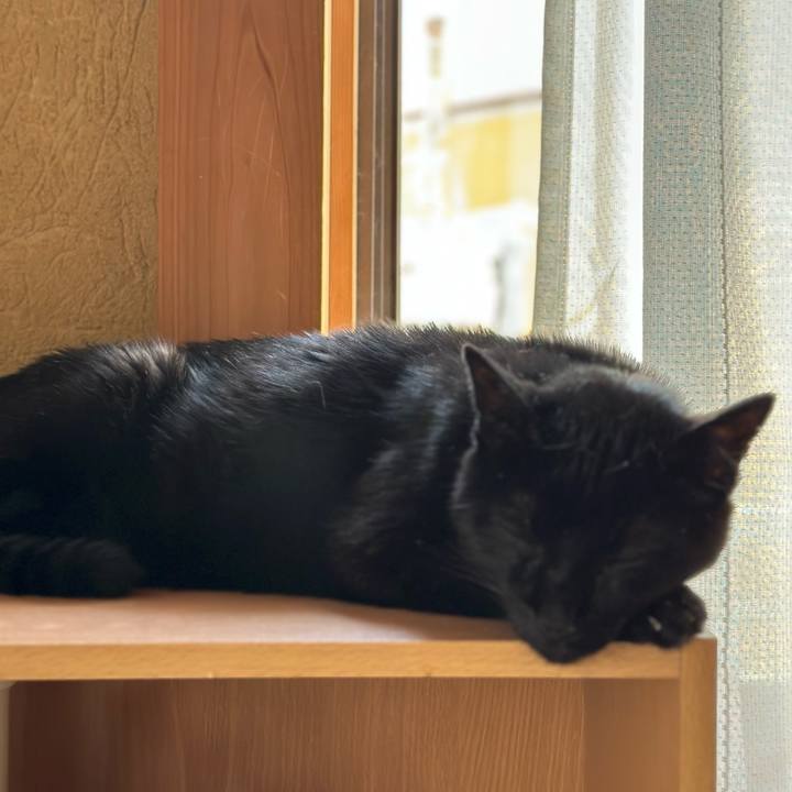 196064e3 c614 4c7a 8ccd 3a03c42c01ee 1689990356514