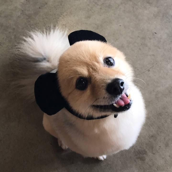 1960769e 6880 46d8 b163 760842db10a9 1577890022418