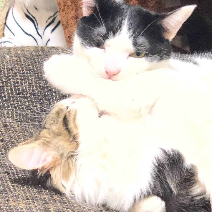 19609465 2ace 43b3 bfe6 94b3d881e324 1520490900867