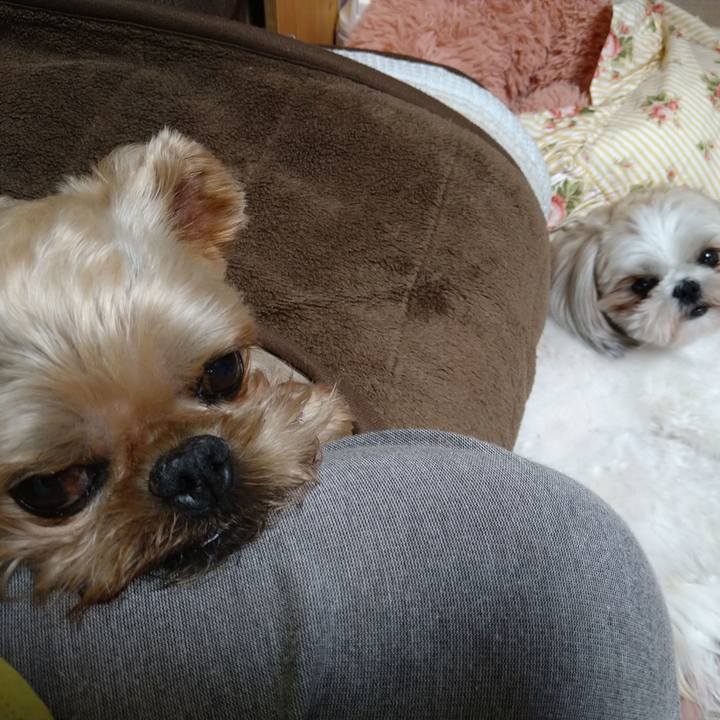 19609f0d 1732 42fd 997d 7876c91ef866 1620477130240