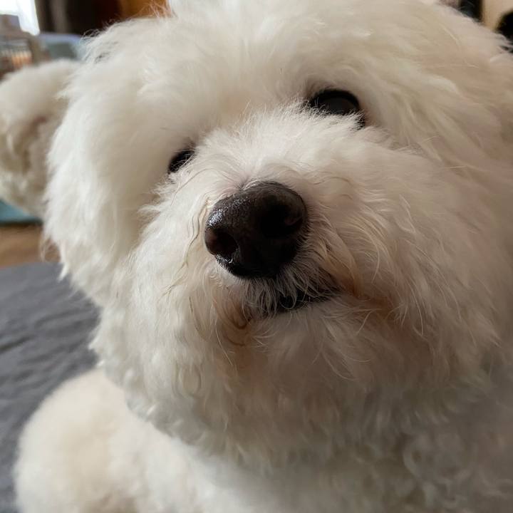 1960b337 363c 443c 9055 465f1413c842 1626075071630