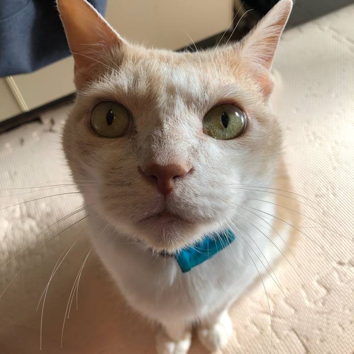 1960c27d 544e 490d bfba b95d1d3bd5d7 1619222649728