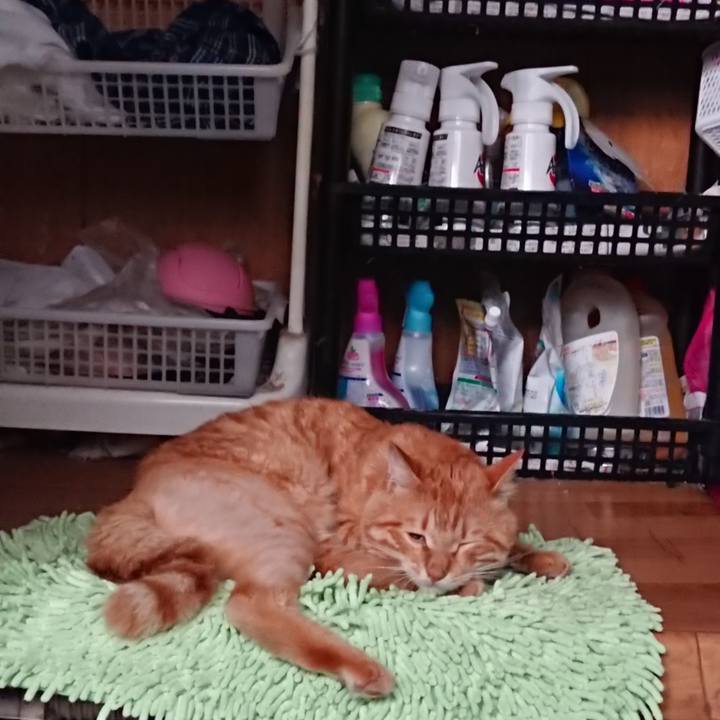 1960df34 ea4b 45c5 923f 54aae612f76f 1656842469709