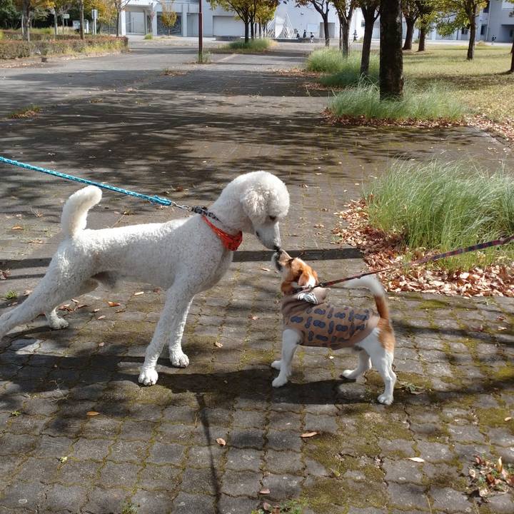 19612ef5 c3cd 4f03 8d52 31c24a7d17f2 1634991858657