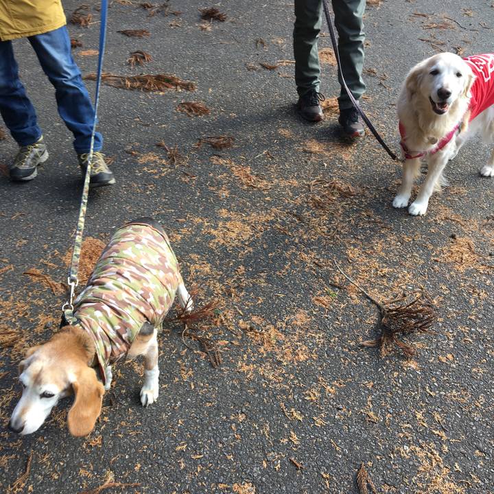 1961391a e700 4e1e 8831 c1523c0b4d1f 1609494878530