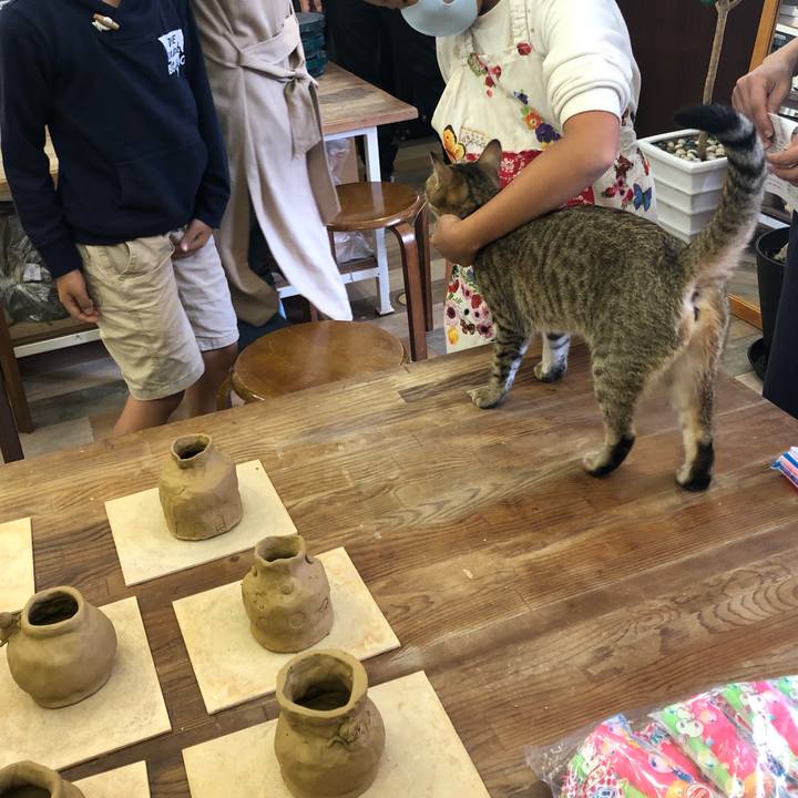 19613eaa 9d61 4764 b83a a836a6b80fc7 1602994489421