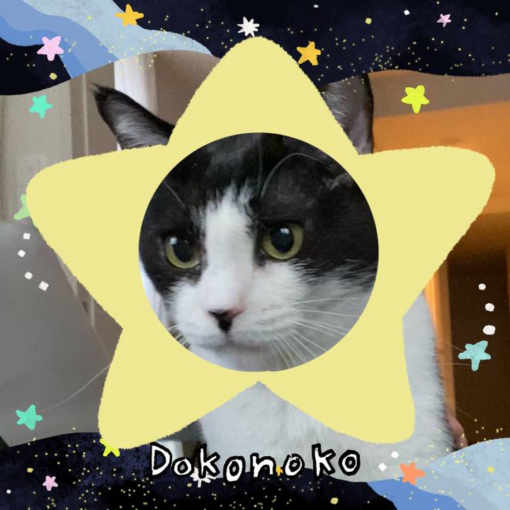 196183bc 21b7 4b15 bd25 82c009486984 1720873666576