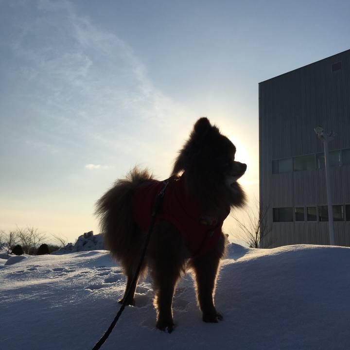 1961853b 0178 433b 8b20 e700794d1c03 1520407619603