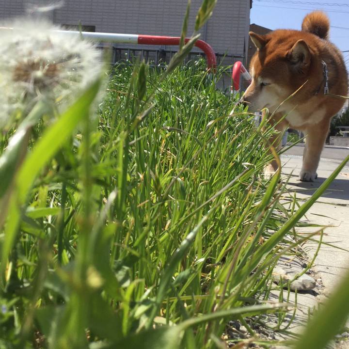 1961b4bb 8fb7 46de a717 0847e047f0a4 1618112279251