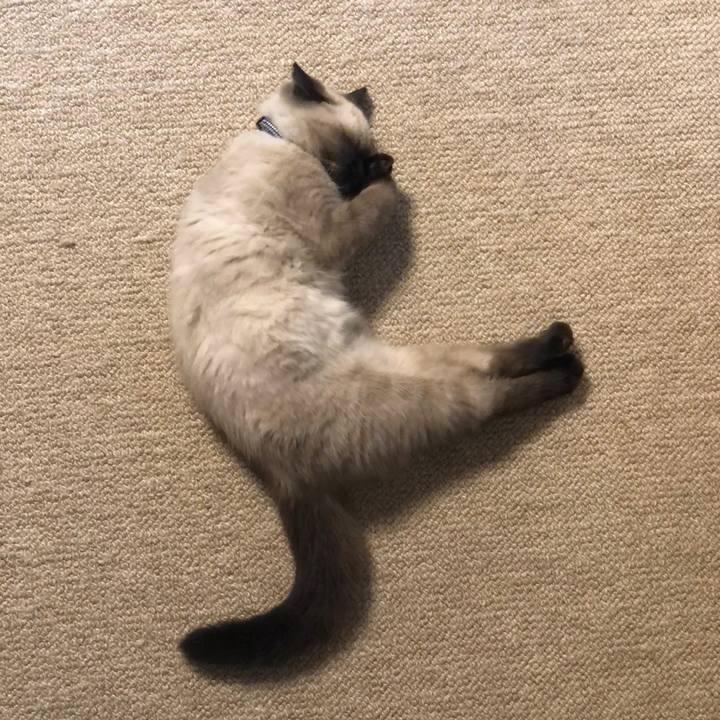 1961c943 cd89 41d0 abe3 5a3cbc346480 1589943820782