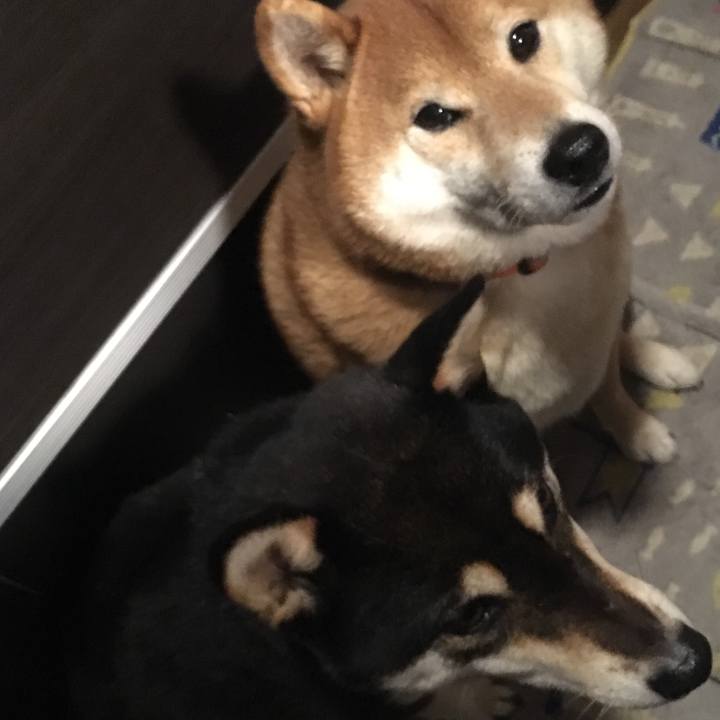 1961ca9d a7f3 41d3 bcc8 d5120ede5da5 1581102658147