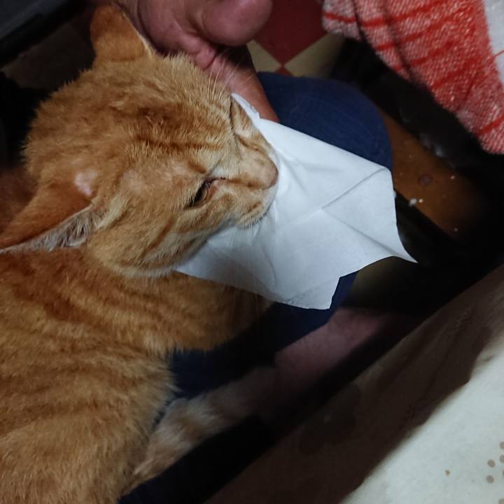 1961db03 4445 4ad4 84c0 52606a458962 1593631305515