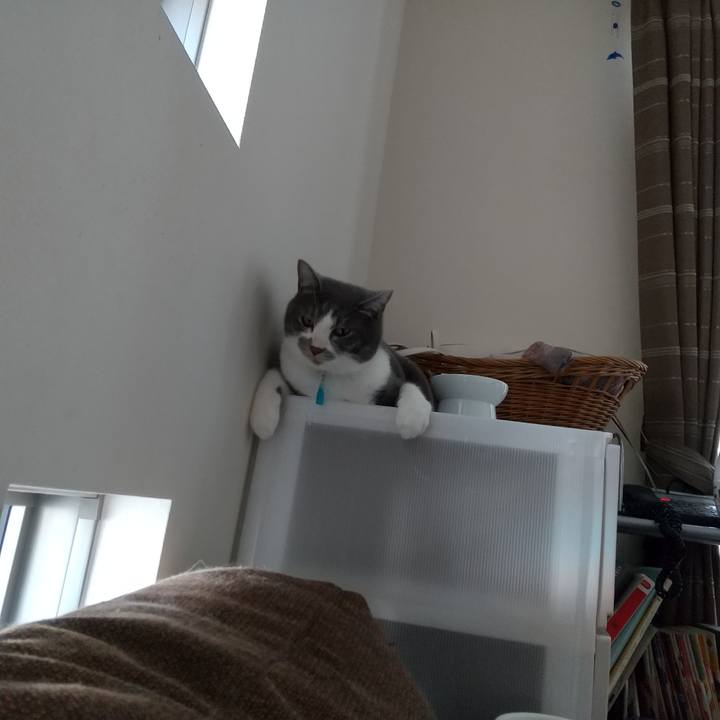 19621674 6fcd 4ed6 9e38 4569c972cd3b 1627800067747