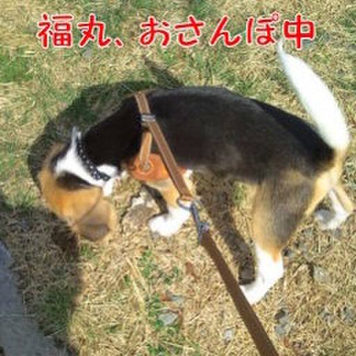 19621c65 1a45 4a6d 8841 a31b8726dad8 1677802069501