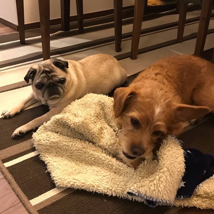 19622bba 204d 4c17 8916 0ab741395539 1583072361115