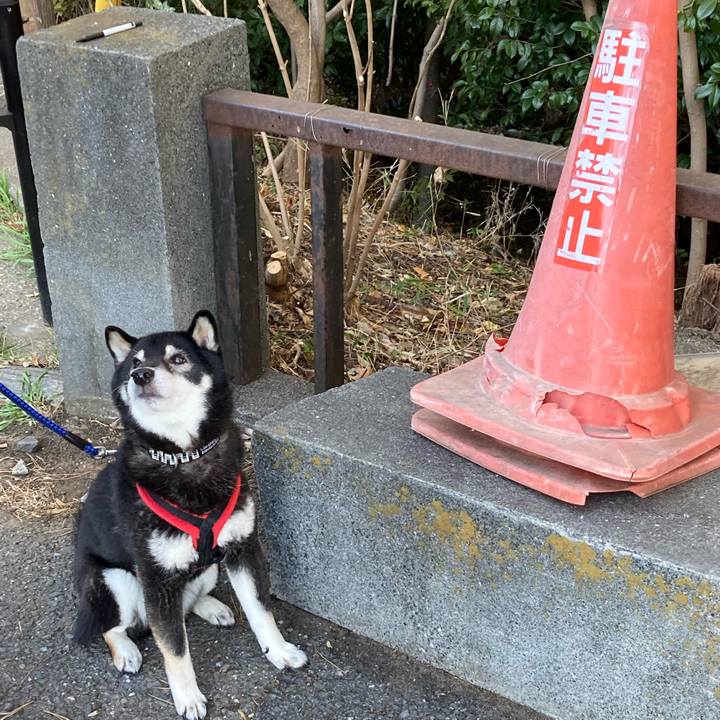 1962a27b 24be 4062 af79 2360c87f09eb 1702284722583