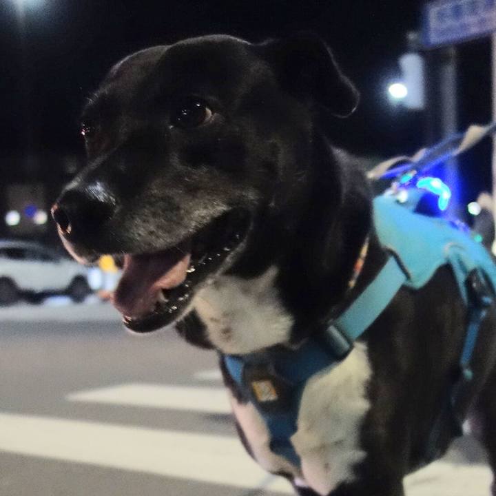 1962a954 28f3 489a 8483 e43574efb200 1699871811703