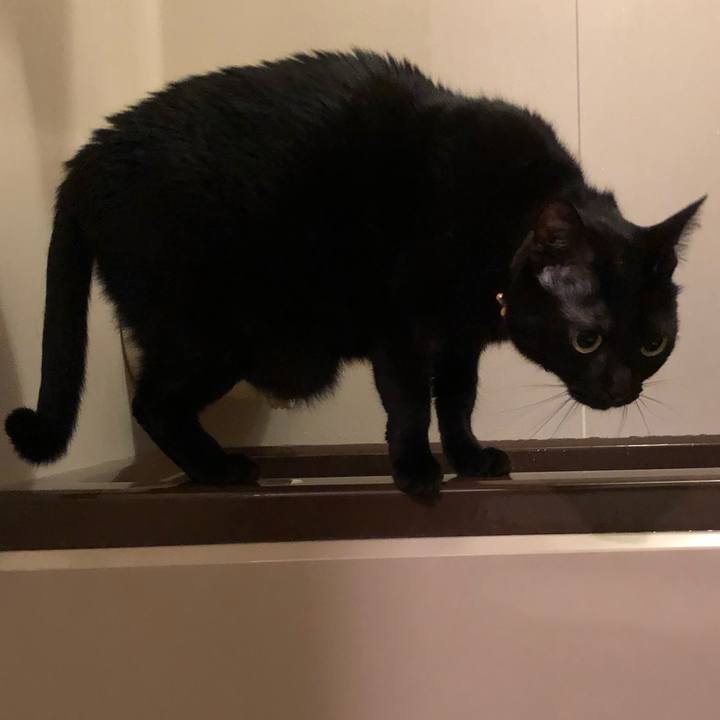 1962edc7 c364 45e3 8200 4dc1fbcccba2 1610441415790