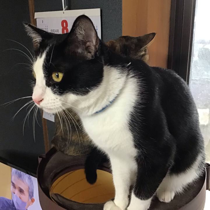 19631c8f 9c8d 4d50 ba0f 91b6fbfe0e8e 1659693477473