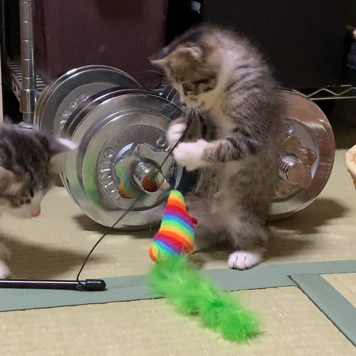 1963422b a295 4321 a351 2f60e10d8cc7 1686194788324