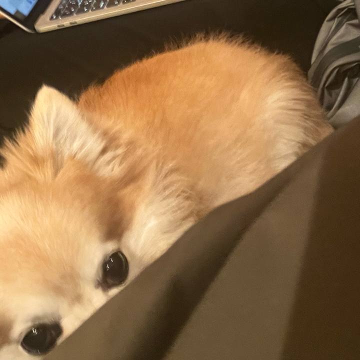 196343df 5716 4293 8569 8df07b973bb9 1765369822974