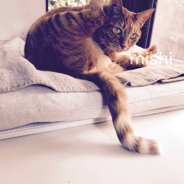 19635b45 23b5 463d bd75 21bdea1c31e7 1511926858199