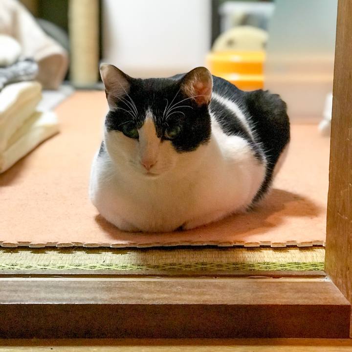 19638fcb 2466 4303 b097 76de964085d1 1520076120434