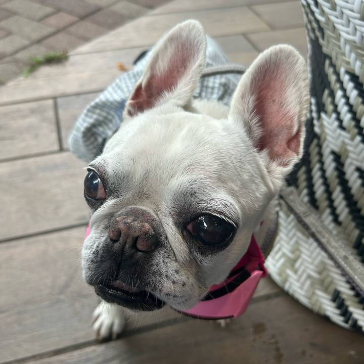 1963b9fd 92d7 4da9 97f0 95f3c0218373 1748087478425