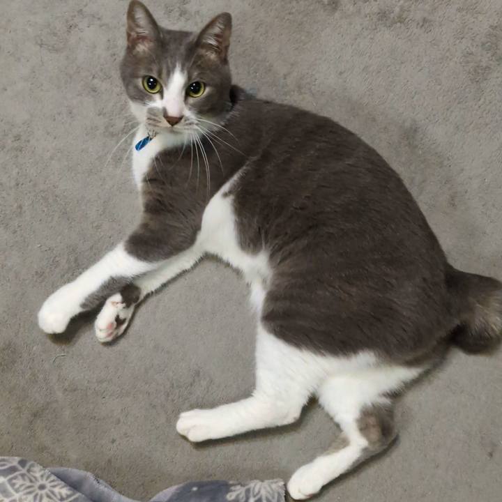 1963e77c ce50 4f18 b1b0 09b279d4635b 1763424284167