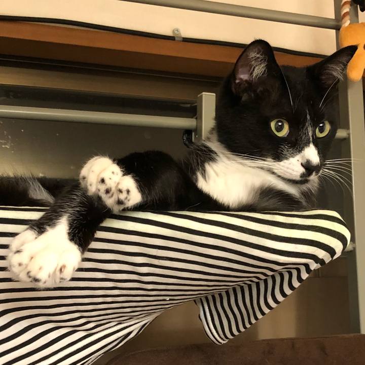 1964228c 110b 4487 88ef 1ad91a584dd8 1531208765340