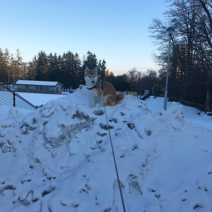 19642582 2ccf 4cfe bb5b 2adcf462f3f7 1575862099530