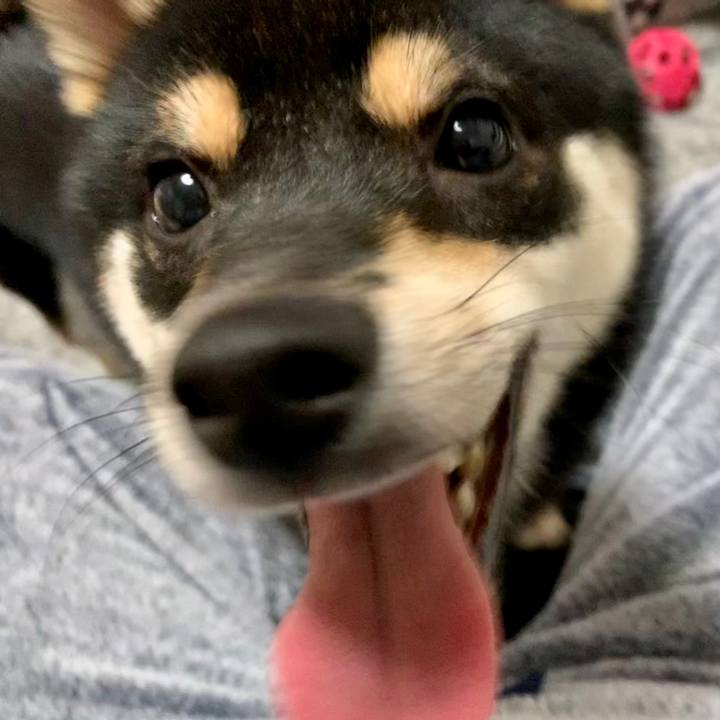 196489ee b228 44c9 8b3d 5f9b30d660ed 1576759361494