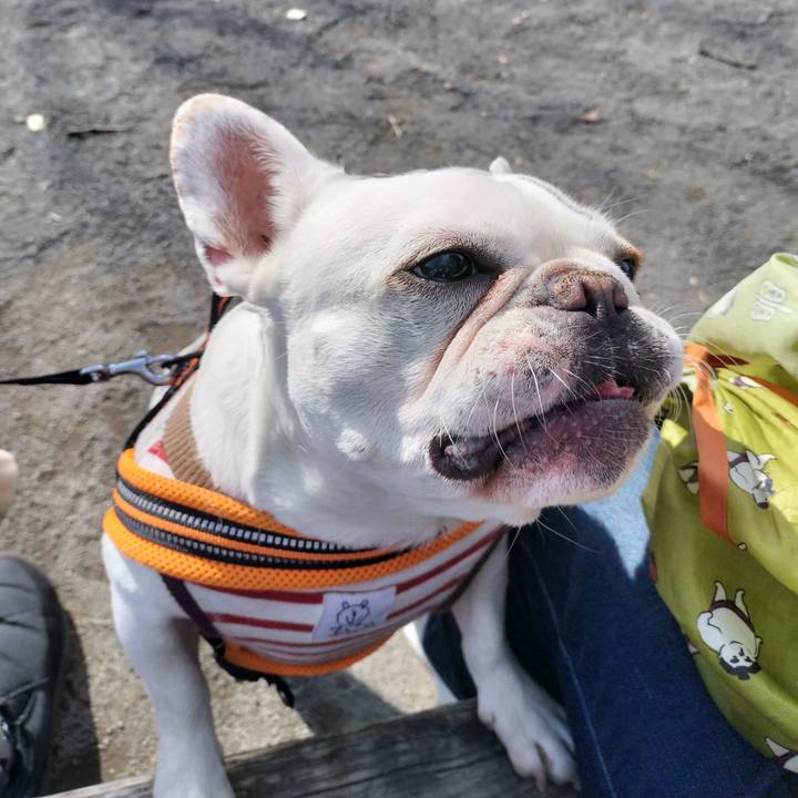 1964a10a f828 41ce bcdf 94956819ef82 1676706620804