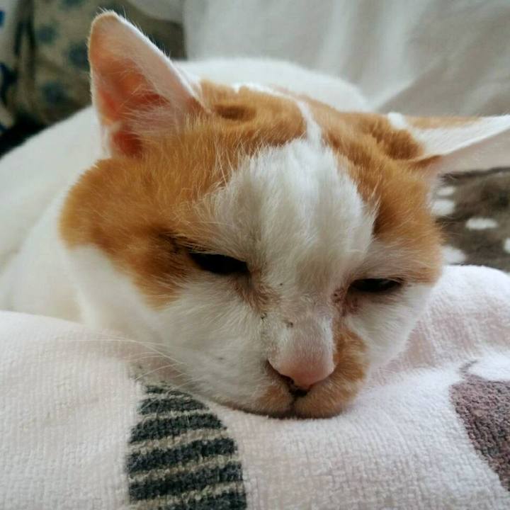 1964bd4b ec6f 41b5 bac4 b1fcdaaf8e5d 1522816382733