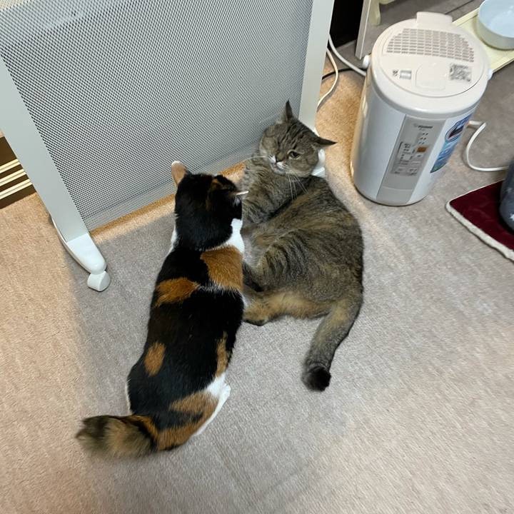 1964befe 9296 4e43 bfc6 490d9c2e6bf8 1611871663355