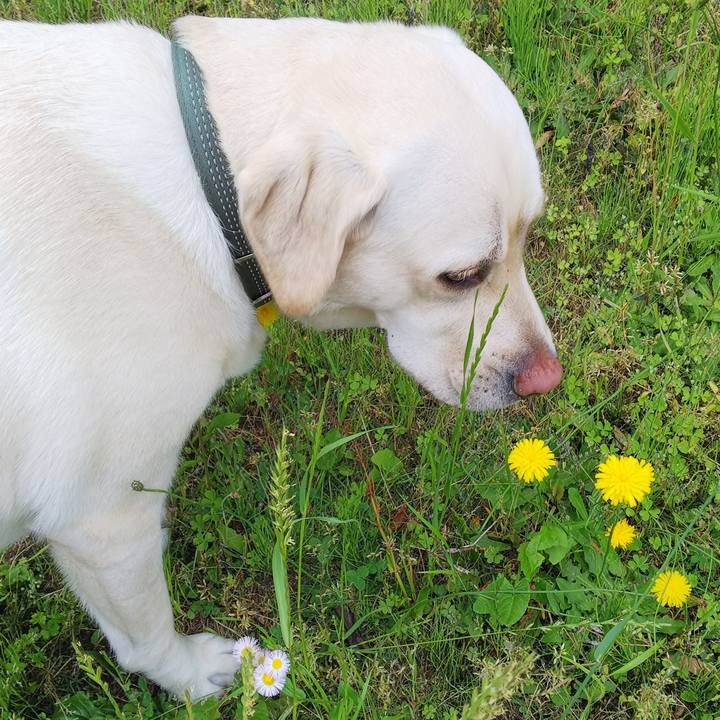 1964fcb1 730c 4be5 b9c7 1bb042027359 1526631203268