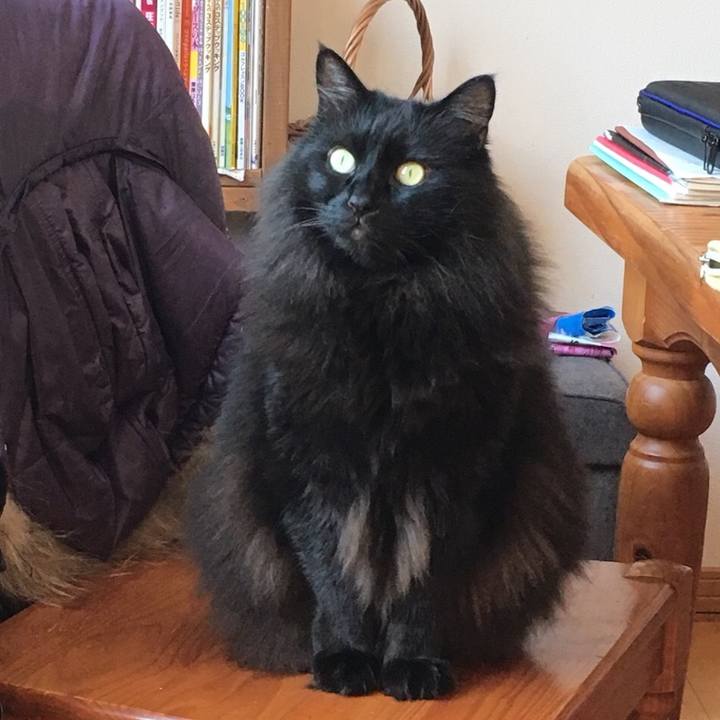 19654d82 ac68 4459 9082 ba2b9ab240e1 1547872859462