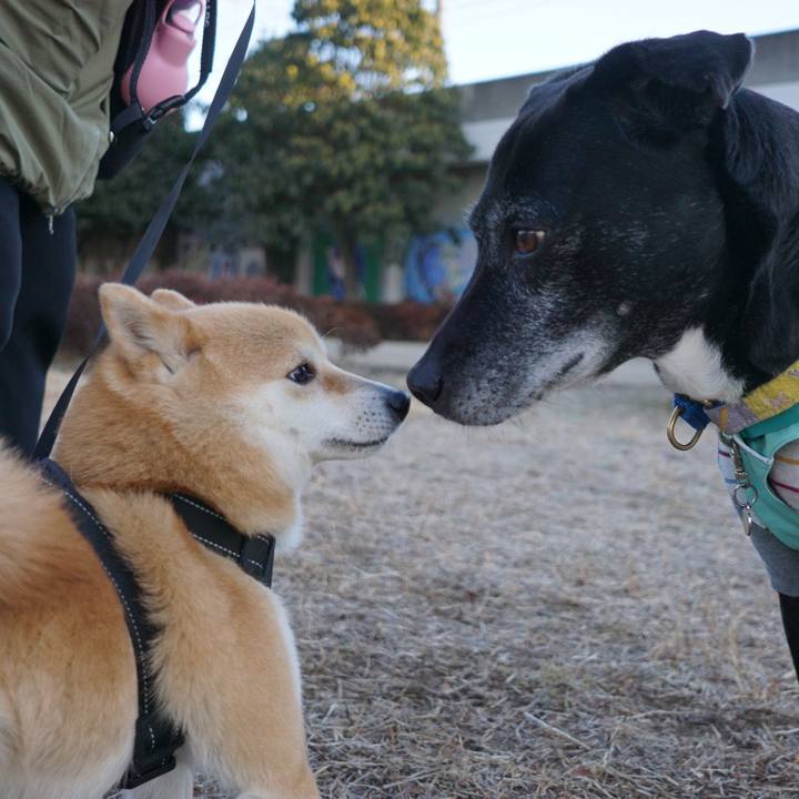 1965773e f329 46c6 96d5 b606a406a27d 1769821389545