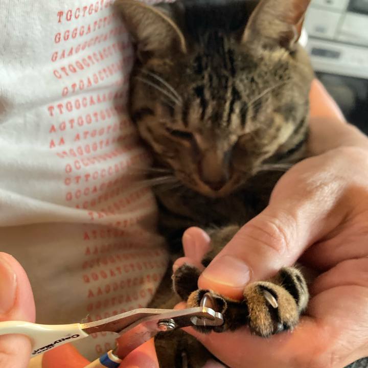 1965a46b 7253 41aa a40a 04b6ceefd21a 1719013085768