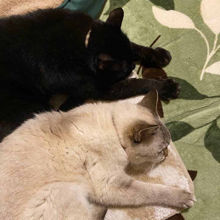 1965b410 8780 44a0 bc04 d31447181131 1603967232710